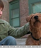 firehousedog-captures240.jpg