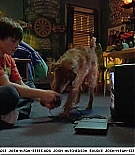 firehousedog-captures249.jpg