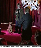 firehousedog-captures360.jpg