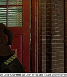 firehousedog-captures426.jpg