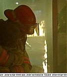 firehousedog-captures500.jpg