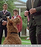 firehousedog-captures522.jpg