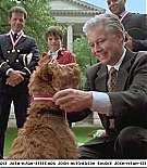 firehousedog-captures523.jpg