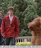 firehousedog-captures539.jpg