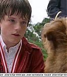 firehousedog-captures542.jpg