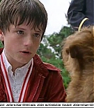 firehousedog-captures543.jpg