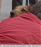 firehousedog-captures546.jpg