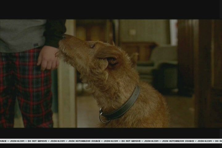 firehousedog-deleted008.JPG
