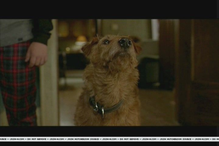 firehousedog-deleted013.JPG