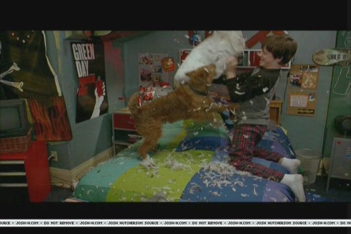 firehousedog-deleted039.JPG