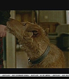 firehousedog-deleted008.JPG