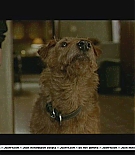 firehousedog-deleted013.JPG