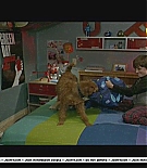 firehousedog-deleted029.JPG