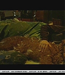 firehousedog-deleted051.JPG