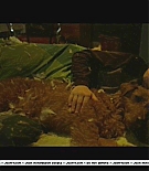 firehousedog-deleted052.JPG