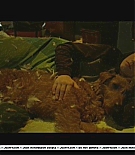 firehousedog-deleted053.JPG