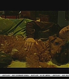 firehousedog-deleted054.JPG