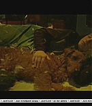 firehousedog-deleted058.JPG