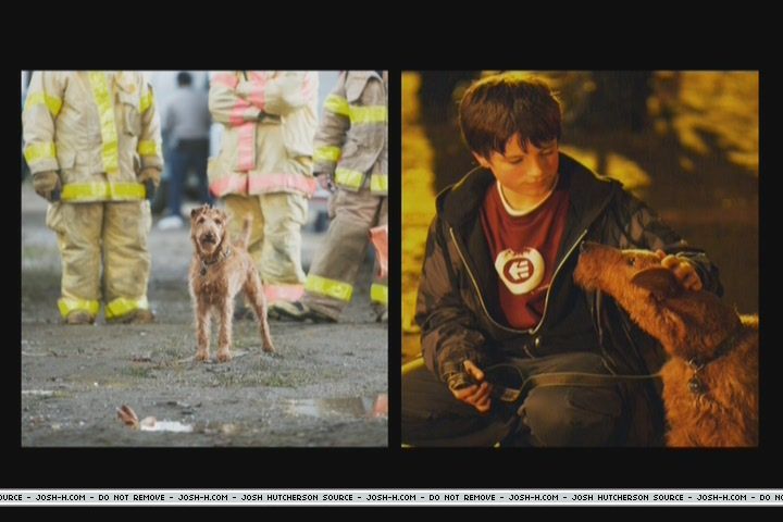 firehousedog-makingfeature030.JPG