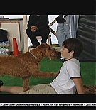 Filename=firehousedog-makingfeature014.JPG
Filesize=39KiB
Dimensions=720x480
Date added=Jun 13, 2011 firehousedog-makingfeature014.JPG