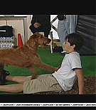firehousedog-makingfeature015.JPG