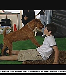 firehousedog-makingfeature016.JPG