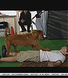 firehousedog-makingfeature017.JPG