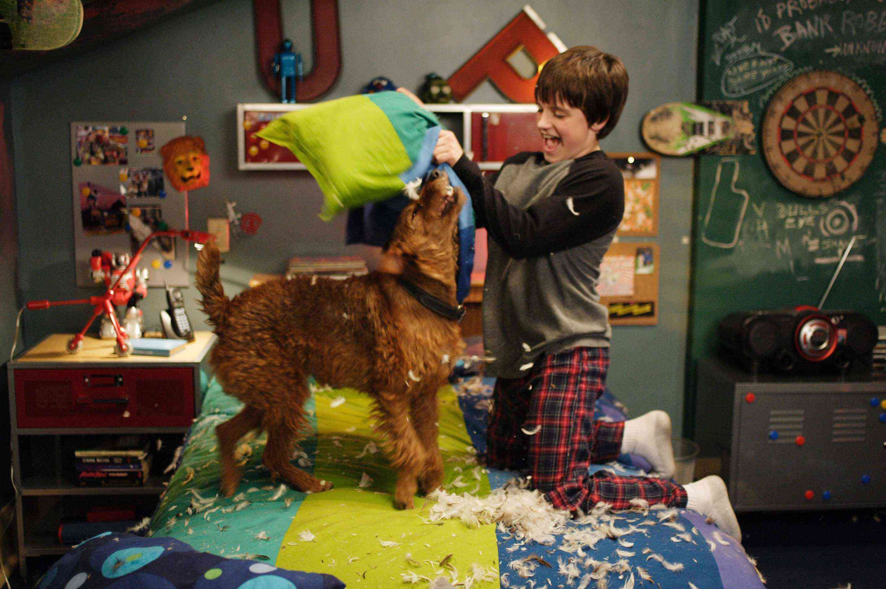 firehousedog-promos002.jpg
