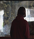 winged-captures137.jpg