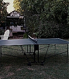 259.jpg
