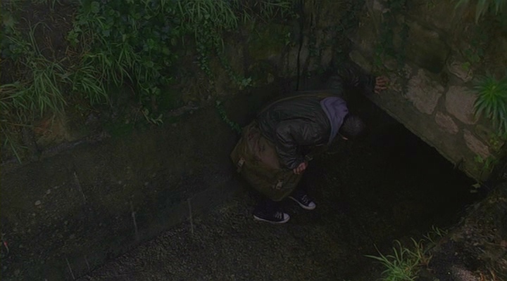 0175.jpg