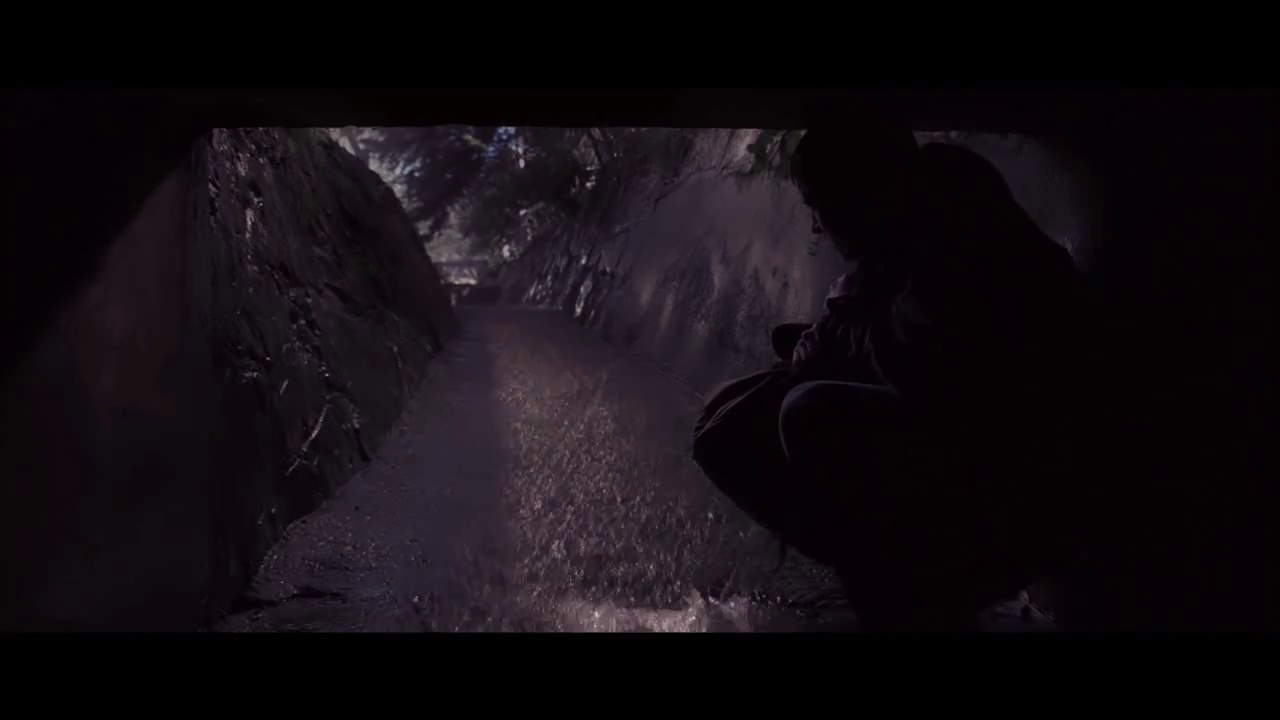 carmel-trailer004.jpg