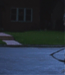 136.jpg