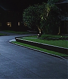 144.jpg