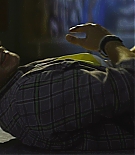 461.jpg
