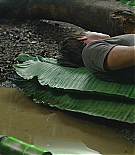 1058.jpg