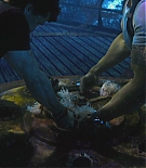 1192.jpg