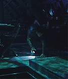 1306.jpg