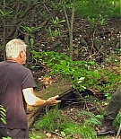 193.jpg