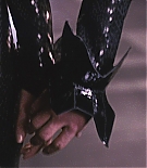 155.jpg