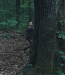 445.jpg