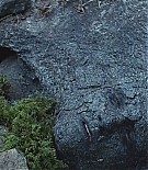 461.jpg