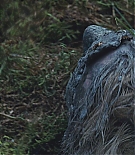 466.jpg