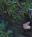 472.jpg