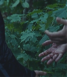594.jpg