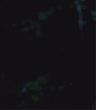 614.jpg