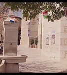 PaquitaSalas-019.jpg